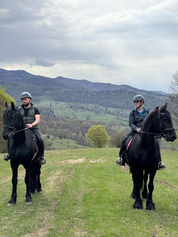 Călărie pe traseele montane din jurul Vama Buzăului