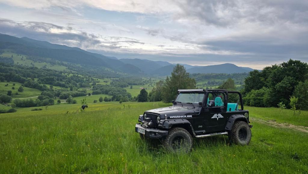 Tură cu jeep 4x4 pe dealurile din zona Vama Buzăului